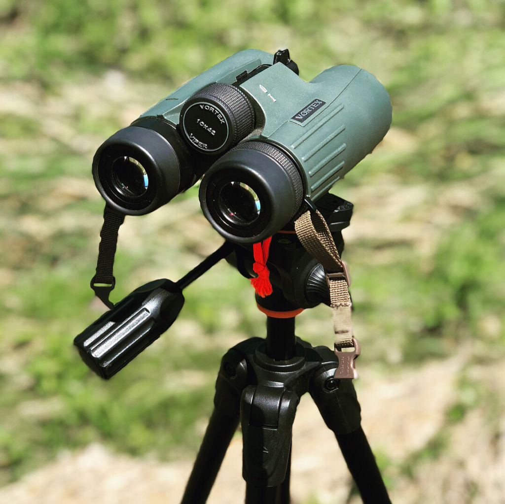 Vortex viper hd 10x42
Best 10x42 binocular	
Best binoculars for bird watching	Best binoculars for hunting	
Best binoculars for the money