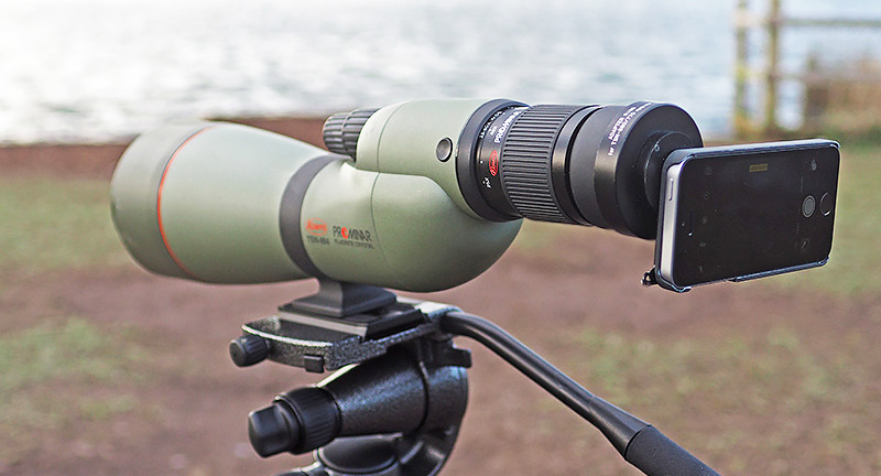 Spotting scopes for digiscoping