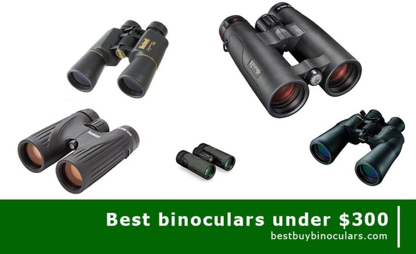 best binoculars under 300