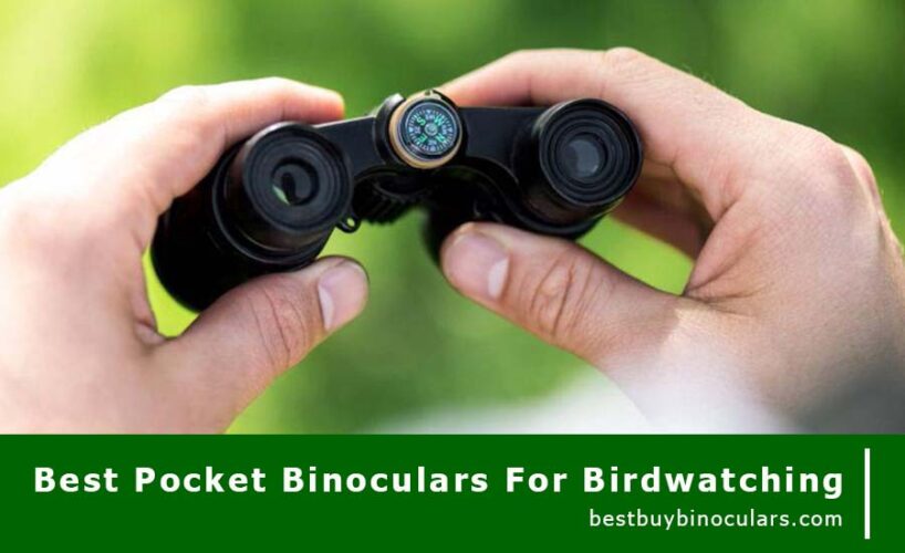 best pocket binoculars for birdwatching