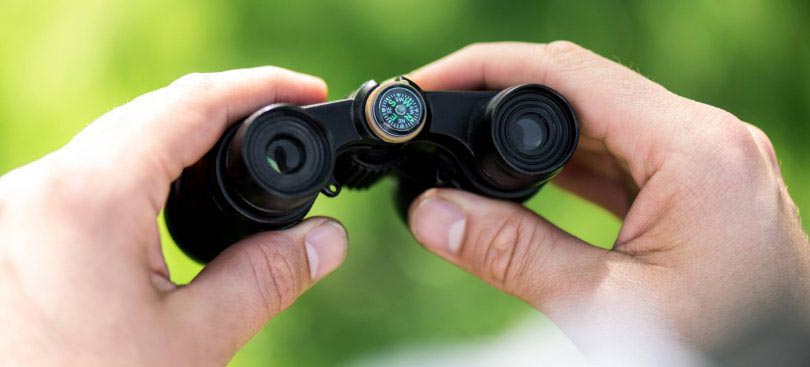 best pocket binoculars for birdwatching