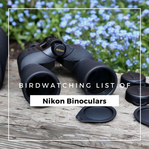 Best Nikon binoculars for bird watching suggestion list