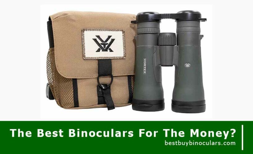 The Best Binoculars For The Money?