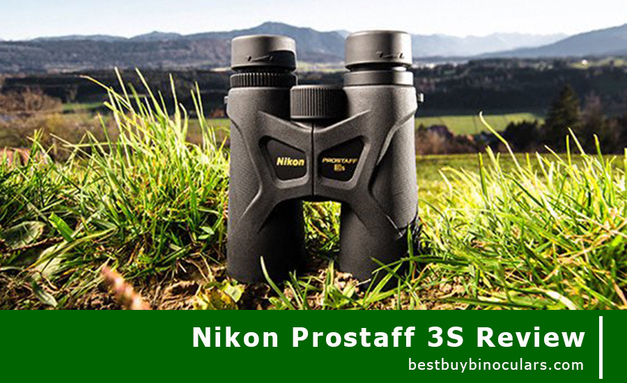 This Is A Complete Unbiased Review On Nikon Prostaff 3s 10x42 8x42