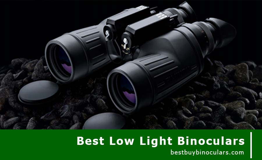 Darkness With The Best Low Light Binoculars