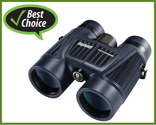 best-binocular-for-safari