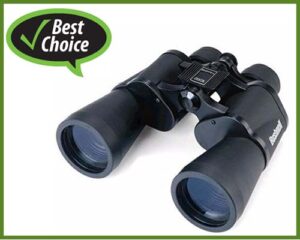 best-binoculars-for-hunting