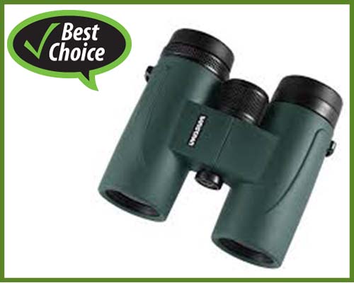 best-binoculars-for-marine