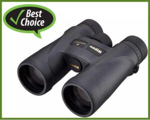 best-buy-binoculars-for birdwatching