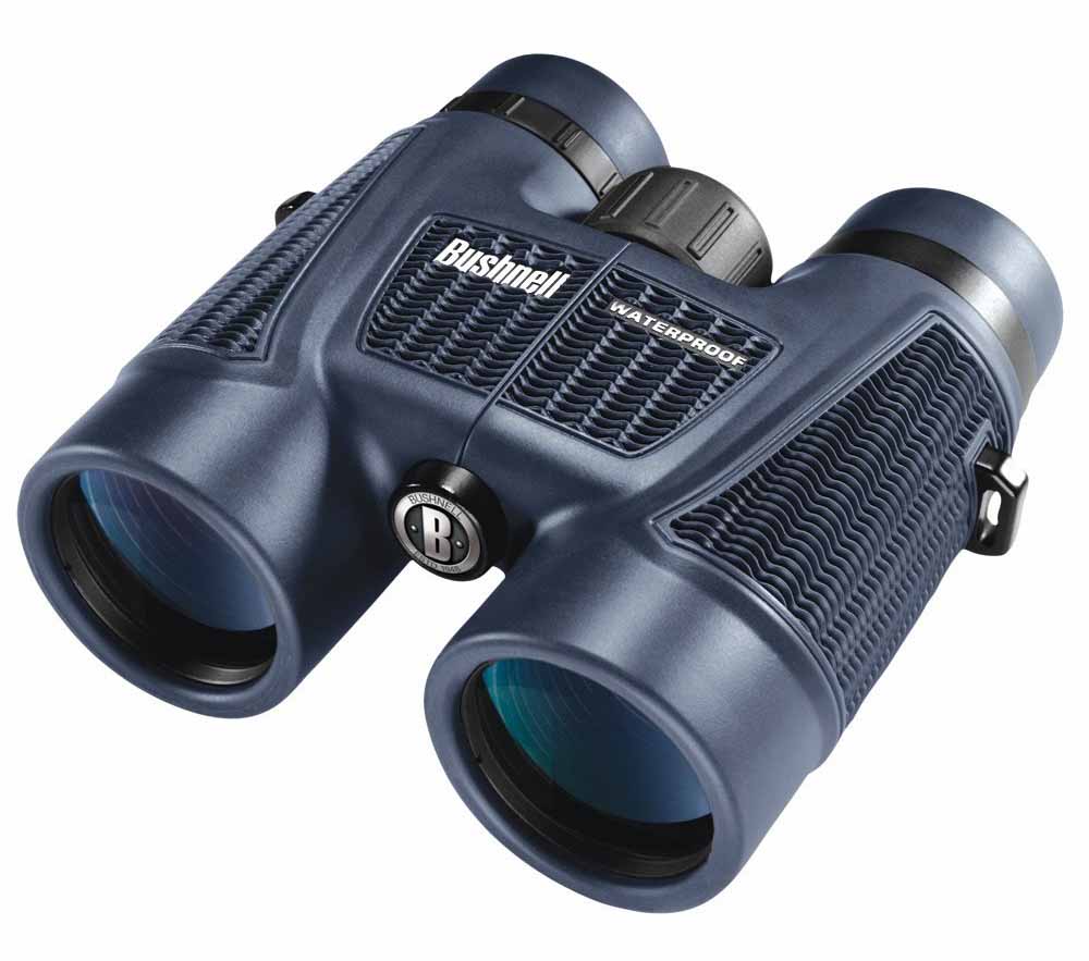 Best Binoculars Under $100 For Hunting