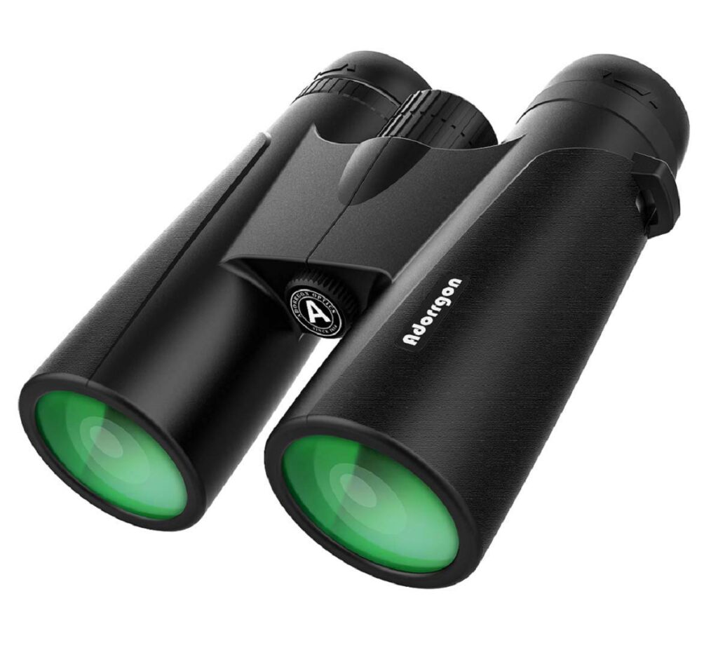 Best binoculars under $50 for Sporting