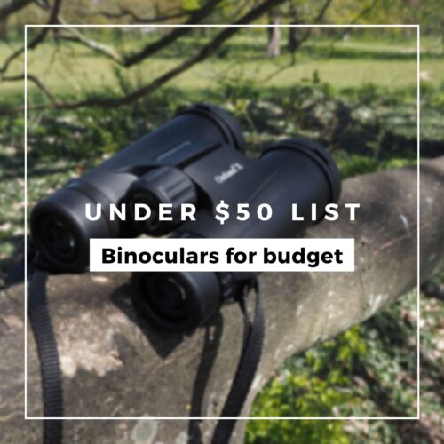 best binoculars under 50 bestbuybinoculars
