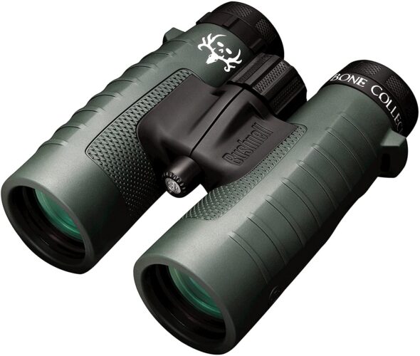 Bushnell Trophy XLT 10x42 2022 review, analysis & recommendation