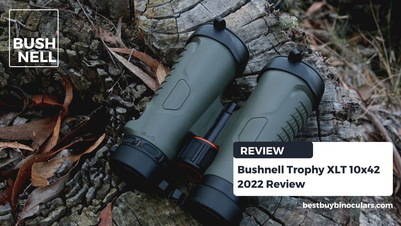 Bushnell Trophy XLT 10x42 review bestbuybinoculars