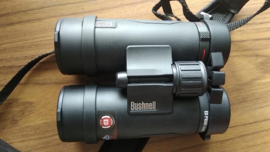 bushnell 10x42 legend l-series binoculars bestbuybinoculars.com