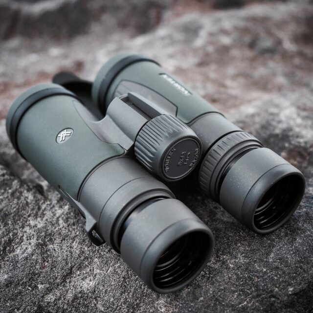 Vortex Razor HD binoculars 8x42 Best birding of Vortex binoculars review bestbuybinoculars