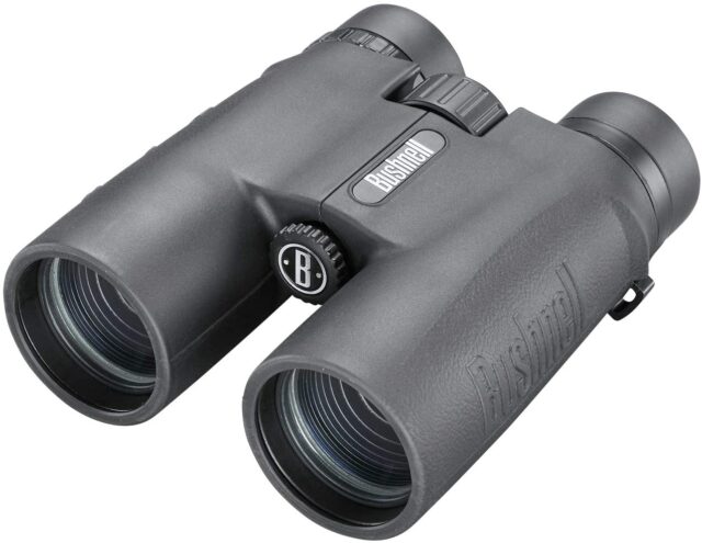 bushnell 10x42 all purpose binoculars