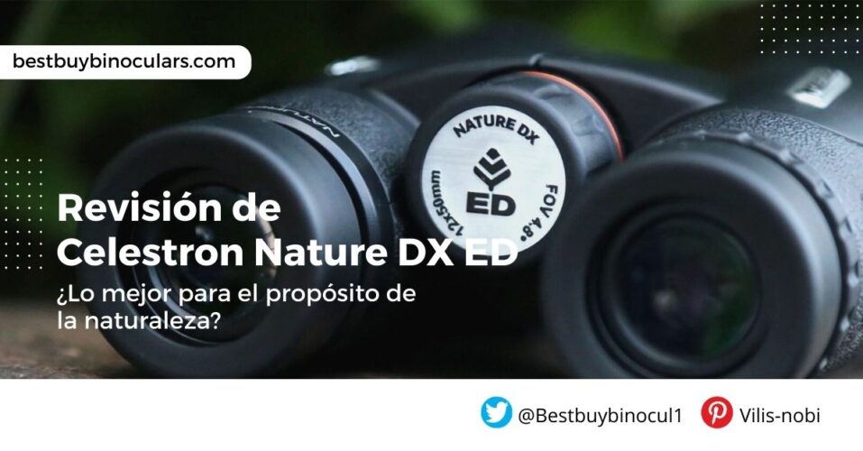 Revisión-de-Celestron-Nature-DX-ED-8x42-para-la-actividad-de-vista-de-la-naturaleza