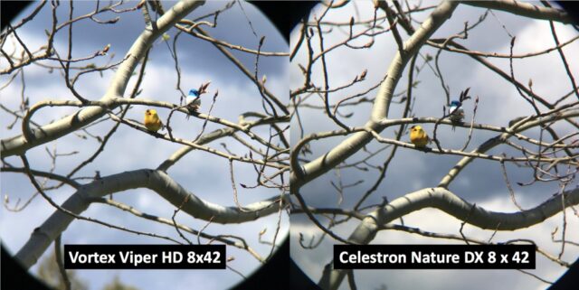 celestron nature dx ed vs vortex viper hd